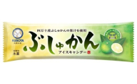 久保田アイスセットA 16個 | アイスクリーム カップアイス アイスキャンデー アイスキャンディー 詰め合わせ アイスセット スイーツ ジェラート フルーツ 高知県 南国市