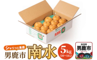【令和7年度 早期受付】南水 5kg 10玉～14玉 梨 なし ナシ 秋田県 男鹿市 旬の果物 フルーツ