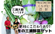 B16-018 三浦の豊（みのり）！季節の野菜詰め合わせ（冬）