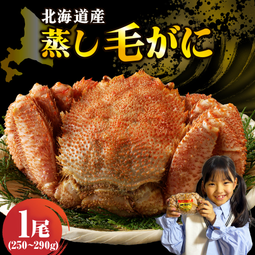 北海道産活蒸し毛蟹約250g～約290g×1尾【er001-107】 2160203 - 北海道えりも町