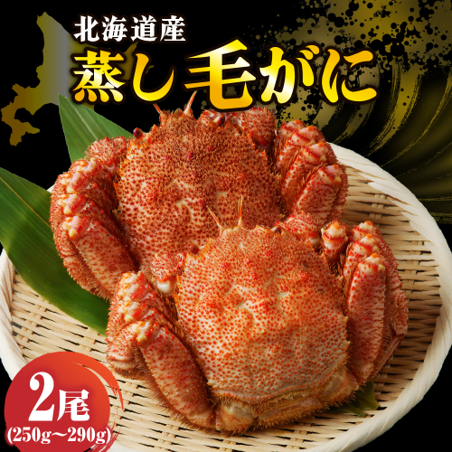 北海道産活蒸し毛蟹約250g~約290g×2尾【er001-108】 2160205 - 北海道えりも町