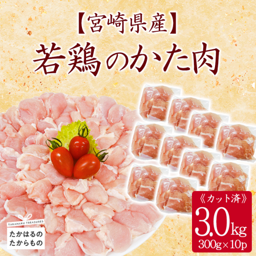 宮崎県産若鶏肩肉3.0kg(300g×10)TF0836-P00063 2160206 - 宮崎県高原町