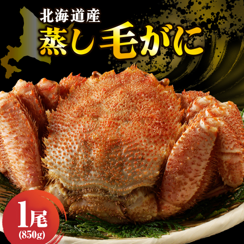 北海道産活蒸し毛蟹約850g×1尾【er001-113】 2160228 - 北海道えりも町