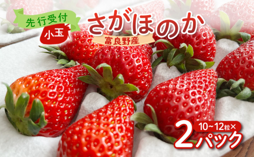 【2026年先行予約】 富良野産 いちご さがほのか 小玉 10～12粒×2パック　［ フルーツ 果物 新鮮 贈り物 ギフト フルーツ 生いちご イチゴ 苺 大粒 甘い 道産 北海道 富良野 ］ 2160256 - 北海道富良野市