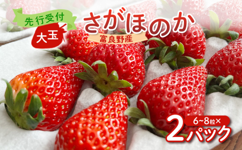 【2026年先行予約】 富良野産 いちご さがほのか 大玉 6～8粒×2パック　［ フルーツ 果物 新鮮 贈り物 ギフト フルーツ 生いちご イチゴ 苺 大粒 甘い 道産 北海道 富良野 ］ 2160257 - 北海道富良野市