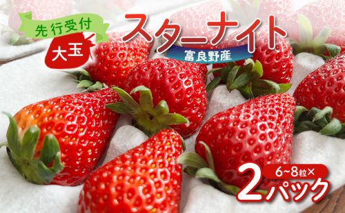【2026年先行予約】 富良野産 いちご スターナイト 大玉 6～8粒×2パック　［ フルーツ 果物 新鮮 贈り物 ギフト フルーツ 生いちご イチゴ 苺 大粒 甘い 道産 北海道 富良野 ］ 2160258 - 北海道富良野市