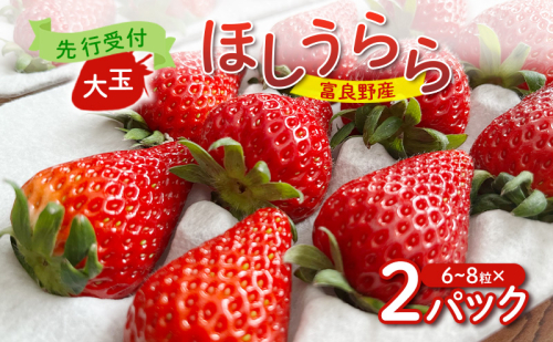 【2026年先行予約】 富良野産 いちご ほしうらら 大玉 6～8粒×2パック　［ フルーツ 果物 新鮮 贈り物 ギフト フルーツ 生いちご イチゴ 苺 大粒 甘い 道産 北海道 富良野 ］ 2160260 - 北海道富良野市