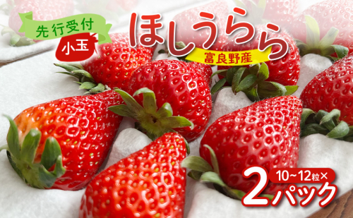 【2026年先行予約】 富良野産 いちご ほしうらら 小玉 10～12粒×2パック　［ フルーツ 果物 新鮮 贈り物 ギフト フルーツ 生いちご イチゴ 苺 大粒 甘い 道産 北海道 富良野 ］ 2160261 - 北海道富良野市