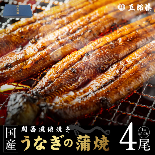 【贈答用】五郎藤 関西風地焼き 国産有頭旨鰻 120g×4尾 計約480g うなぎ ウナギ 蒲焼き 炭火 020C619 2160267 - 大阪府泉佐野市