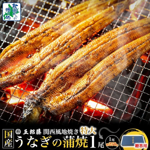 【贈答用】五郎藤 関西風地焼き 国産有頭旨鰻 250g×1尾 計約250g 特大 うなぎ ウナギ 蒲焼き 炭火 099H3443-1 2160268 - 大阪府泉佐野市