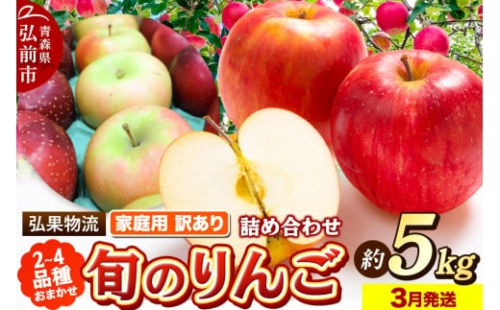 【26年3月発送】りんご 家庭用 訳あり 旬のりんご 品種おまかせ 約5kg 2品種～4品種【レビューキャンペーン】 2160627 - 青森県弘前市