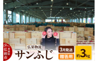 【26年3月発送】りんご 贈答用 サンふじ 約3kg