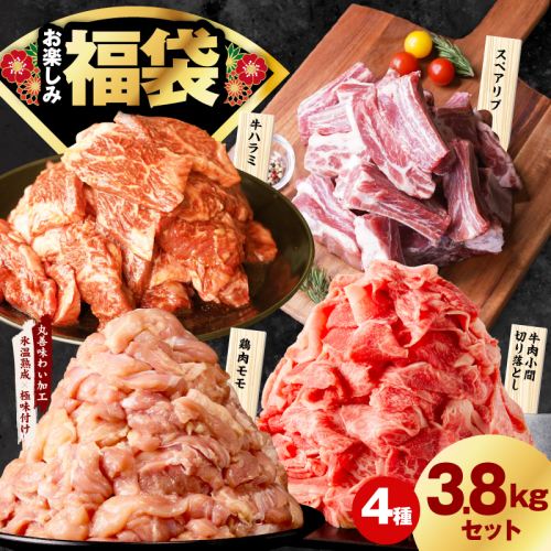 肉福袋 4種 3.8kg 焼肉セット（牛肉 切り落とし／牛ハラミ／豚肉 スペアリブ／鶏肉）【氷温熟成×極味付け 焼くだけ 食べ比べ ふくぶくろ お楽しみ 簡単調理】 mrz0328 2160876 - 大阪府泉佐野市
