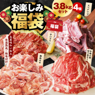 肉福袋 4種 3.8kg 焼肉セット（牛肉 切り落とし／牛ハラミ／豚肉 スペアリブ／鶏肉）【氷温熟成×極味付け 焼くだけ 食べ比べ ふくぶくろ お楽しみ 簡単調理】 mrz0222