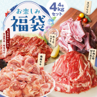 【お楽しみ】夏の福袋 4種 4kgセット（牛肉 切り落とし／牛ハラミ／豚肉 スペアリブ／鶏肉）【氷温熟成×極味付け 焼肉 焼くだけ 食べ比べ ふくぶくろ お楽しみ 簡単調理 期間限定】 mrz0141