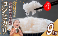 【事前受付】令和7年度産 新米 コシヒカリ 米 9kg  精米 白米 国産 おいしい お米 こめ 静岡県 牧之原市  日用品 日常  9月~10月発送 ご飯 ごはん ふっくら もちもち 炭水化物  主食 家庭用 贈答 備蓄米