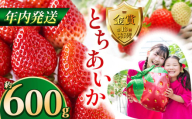【先行予約】【12月発送】とちあいか約600g | 送料無料 とちあいか いちご フルーツ 甘い ジューシー苺 ｲﾁｺﾞ ハート ハート型 ﾊｰﾄ 断面 果物 おいしい 栃木県 下野市