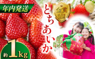 【先行予約】【12月発送】とちあいか約1kg | 送料無料 とちあいか いちご フルーツ 甘い ジューシー苺 ｲﾁｺﾞ ハート ハート型 ﾊｰﾄ 断面 果物 おいしい 栃木県 下野市