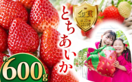 [先行予約]とちあいか約600g | 送料無料 とちあいか いちご フルーツ 甘い ジューシー苺 イチゴ ハート ハート型 ハート 断面 果物 おいしい 栃木県 下野市