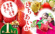 [先行予約][定期便3回]とちあいか約1kg | 定期便 送料無料 とちあいか いちご フルーツ 甘い ジューシー苺 イチゴ ハート ハート型 ハート 断面 果物 おいしい 栃木県 下野市