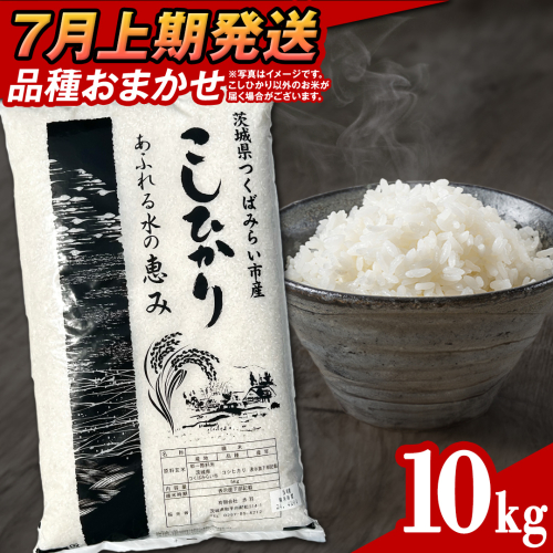 【 7月上期発送 / 数量限定 】茨城県つくばみらい市産 精米 10kg (品種おまかせ） 令和6年産 こしひかり 米 コメ こめ 単一米 限定 茨城県産 国産 美味しい お米 おこめ おコメ 2161270 - 茨城県つくばみらい市