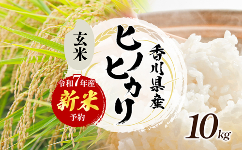 令和7年産 新米「ヒノヒカリ」10kg(玄米) お米 10kg 2161438 - 香川県東かがわ市