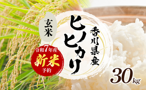 令和7年産 新米「ヒノヒカリ」30kg(玄米) お米 30kg 2161439 - 香川県東かがわ市