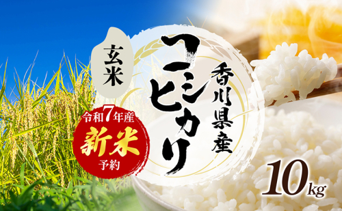 令和7年産 新米「コシヒカリ」10kg(玄米) お米 10kg 2161440 - 香川県東かがわ市