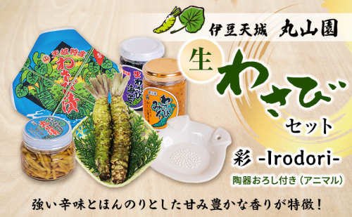伊豆天城 丸山園 わさびセット 彩 セット 詰め合わせ わさび 山葵 ワサビ 生わさび おつまみ つまみ みそ 味噌 漬け物 漬物 2161452 - 静岡県河津町
