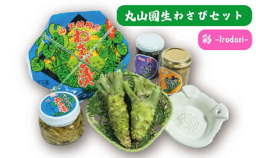 伊豆天城 丸山園 わさびセット 彩 セット 詰め合わせ わさび 山葵 ワサビ 生わさび おつまみ つまみ みそ 味噌 漬け物 漬物 2161452 - 静岡県河津町