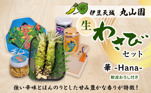 伊豆天城 丸山園 わさびセット 華 セット 詰め合わせ わさび 山葵 ワサビ 生わさび おつまみ つまみ みそ 味噌 漬け物 漬物 2161453 - 静岡県河津町