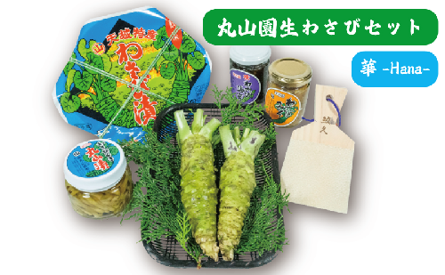 伊豆天城 丸山園 わさびセット 華 セット 詰め合わせ わさび 山葵 ワサビ 生わさび おつまみ つまみ みそ 味噌 漬け物 漬物 2161453 - 静岡県河津町