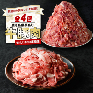 ＜定期便・毎月発送全4回＞ うれしいお肉の定期便 鹿児島県産 豚肉 切り落とし (計4kg・500g×8P) 黒毛和牛 切り落とし (計600g・300g×2P) 【コワダヤ】【宮路ファーム】nagashima-1520