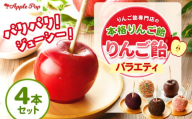 りんご飴 バラエティ4本セット | りんご飴 プレーン しそ 紅茶 メガパンチ セット りんご リンゴ 林檎 あめ アメ 飴 りんご飴専門店 Applepopshop アップルポップ 合同会社51TPS メディアで紹介 千葉県 君津市 きみつ