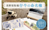 [10月生まれ]仔牛の命名権・命名書・カレンダー・キーホルダーセット&グリーティング(3月〜4月)券+フリードリンク券2枚付き 牧場 体験 アクティビティ 観光 家族連れ 子供 デート 動物 関東 茨城 名付け 体験学習 90-F