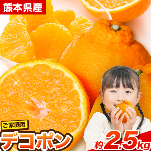 ご家庭用 デコポン デコポン約2.5kg前後(約6-12玉前後)《2026年2月上旬-4月末頃出荷》不知火 熊本県産 熊本県 長洲町 糖度13度以上 2162524 - 熊本県長洲町