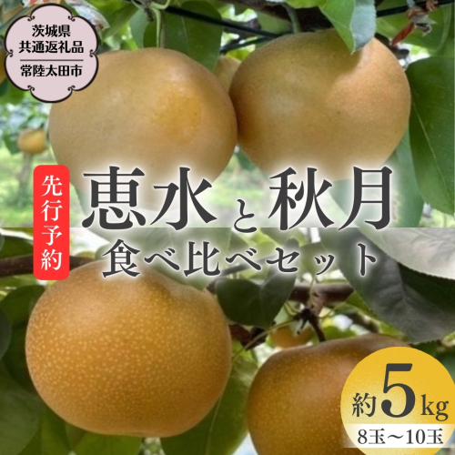 【 2025年 先行予約 】 厳選 2種！恵水 と 秋月 の 食べ比べセット 約5kg 8玉～10玉 【 茨城県共通返礼品 ／ 常陸太田市 】 2025年9月中旬発送 桧山果樹園 フルーツ 甘い 直送 茨城 限定 ギフト 梨 恵水 秋月 旬 贈答 果物 [DU020sa] 2162526 - 茨城県桜川市