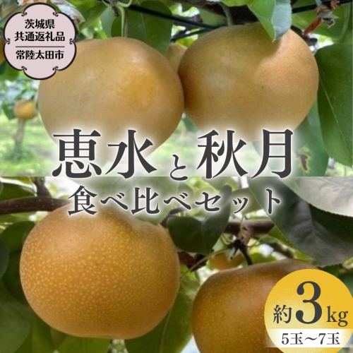 【 2026年 先行予約 】 厳選 2種！恵水 と 秋月 の 食べ比べセット 約3kg 5玉～7玉 【 茨城県共通返礼品 ／ 常陸太田市 】 桧山果樹園 フルーツ 甘い 直送 茨城 限定 ギフト 梨 旬 贈答 果物 [DU019sa] 2162529 - 茨城県桜川市