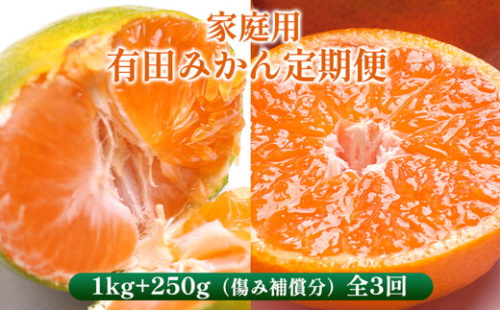 〈定期便〉【10・11・12月 全3回】家庭用 有田みかん定期便 1kg+250g（傷み補償分）※北海道・沖縄・離島への配送不可 2162622 - 和歌山県美浜町