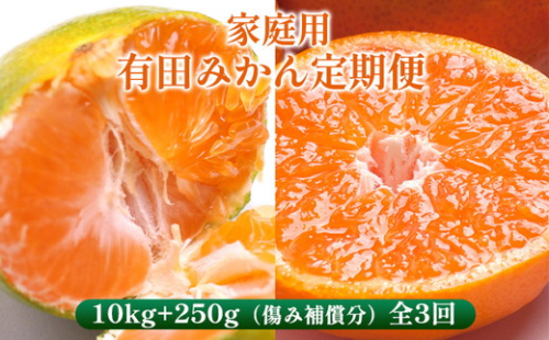 〈定期便〉【10・11・12月 全3回】家庭用 有田みかん定期便 10kg+250g（傷み補償分）※北海道・沖縄・離島への配送不可 2162764 - 和歌山県美浜町