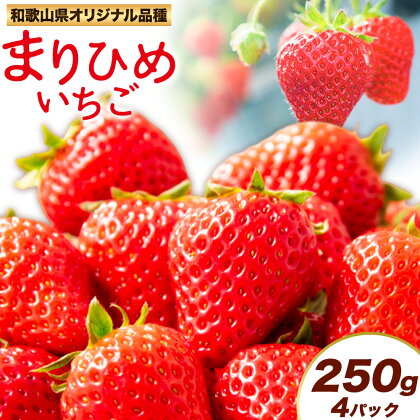 紀州和歌山県ブランドいちご「まりひめ」約250g×4パック 計1kg 株式会社魚鶴商店《2026年3月上旬-3月下旬頃出荷》和歌山県 日高町 いちご 苺 まりひめ フルーツ 果物 スイーツ 送料無料 2162792 - 和歌山県日高町