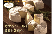 【クレイル特製】カマンベールチーズ 3種 贅沢セット