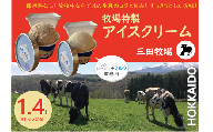 ミタアイス業務用2個入りセット アイス 三田牧場 1.4L 自家製ミルク 1個＋ラムレーズン 1個