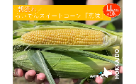 2025年 7月 出荷 先行予約 とうもろこし らいでん スイートコーン 恵味 LL 規格 約10kg