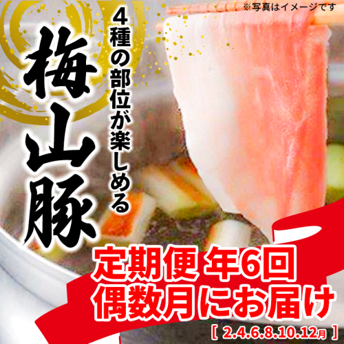 【6回定期便/偶数月発送】 塚原牧場 幻の豚 「梅山豚」 しゃぶしゃぶセット ブランド豚 メイシャントン 境町 K1875 2162914 - 茨城県境町