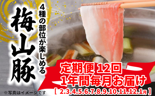 K2093 【12回毎月定期便】 塚原牧場 幻の豚 「梅山豚」 しゃぶしゃぶセット ブランド豚 メイシャントン 境町 2162917 - 茨城県境町