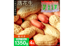 「小川商店（オガワのピーナッツ）」は千葉県が誇る落花生ブランド「千葉半立（ちばはんだち）」専門店です。千葉半立一筋で創業70年。完全契約農家さんが大切に育てた純千葉産の千葉半立落花生を、ひと粒、ひと粒