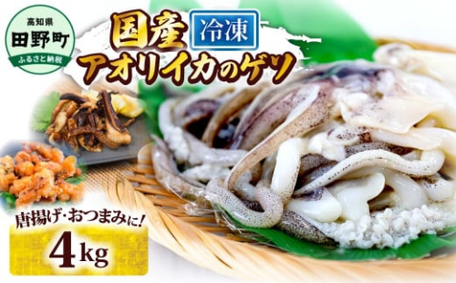 イカの王様★アオリイカのゲソ 4kg アオリイカ ゲソ 500g×8パック 4000g 4キロ イカ いか 烏賊 魚介類 げそ いかげそ 焼き 唐揚げ おつまみ 美味しい 柔らかい
 2162962 - 高知県田野町