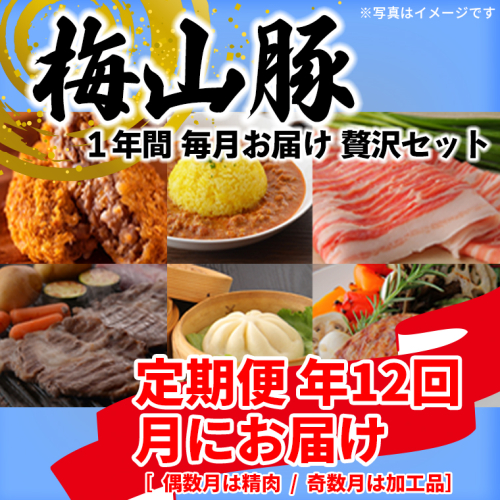 【12回毎月定期便】塚原牧場の幻の豚「梅山豚」の贅沢定期便  ブランド豚 メイシャントン 境町 K1877 2163022 - 茨城県境町