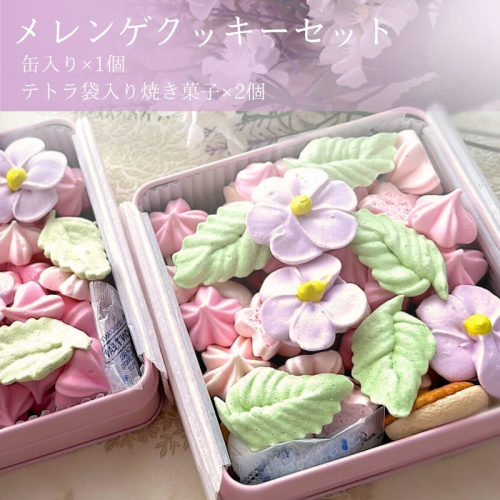 クッキー 季節のかわいいメレンゲクッキーセット 洋菓子 焼き菓子 お菓子 メレンゲクッキー メレンゲ セット コーヒー フランボワーズ 和三盆糖 甘じょっぱい 大和郡山市 奈良県 2163674 - 奈良県大和郡山市
